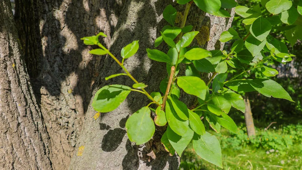 istockphoto.com/Nataliy Kl