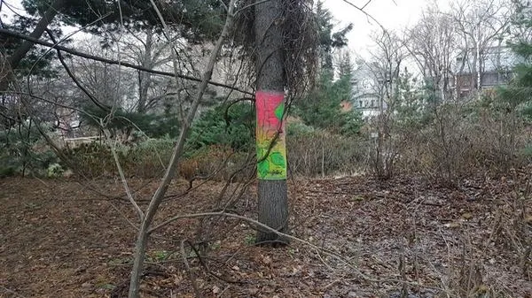 Концерт «Рассада №4» пройдет в Аптекарском огороде
