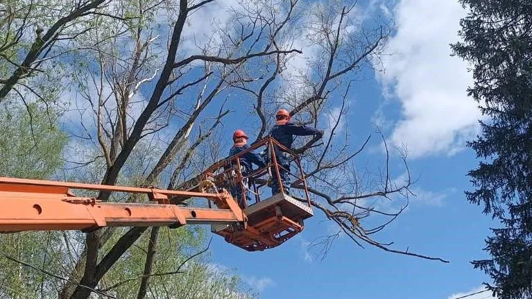 Фото: Мособлэнерго