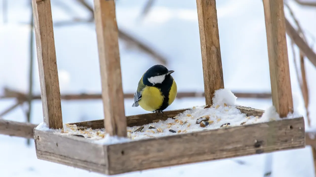istockphoto.com/Karim Tatarinov