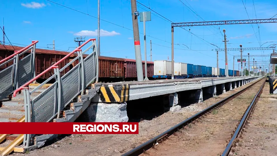 Фото: REGIONS/Василий Тремасов