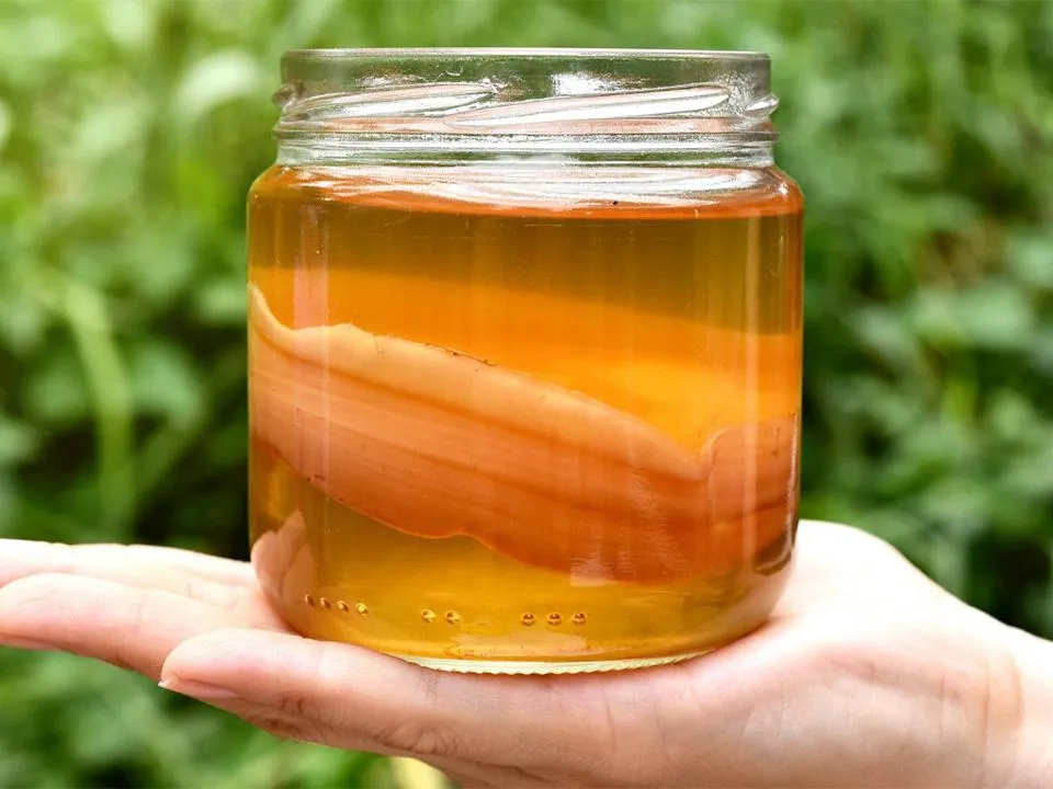 «Не давать надежду тяжелобольным»: диетолог развеяла популярный миф о чайном грибе