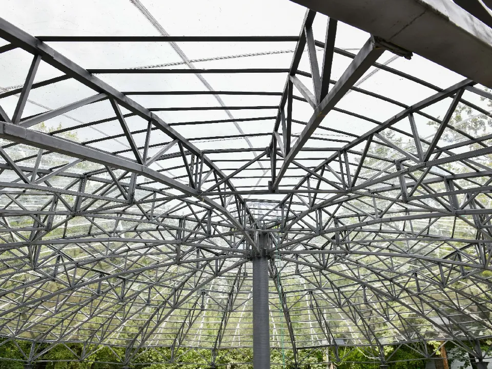 Фото: пресс-служба администрации г.о. Химки