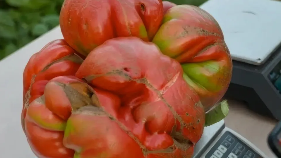 Фото: личный архив Александра Чусова