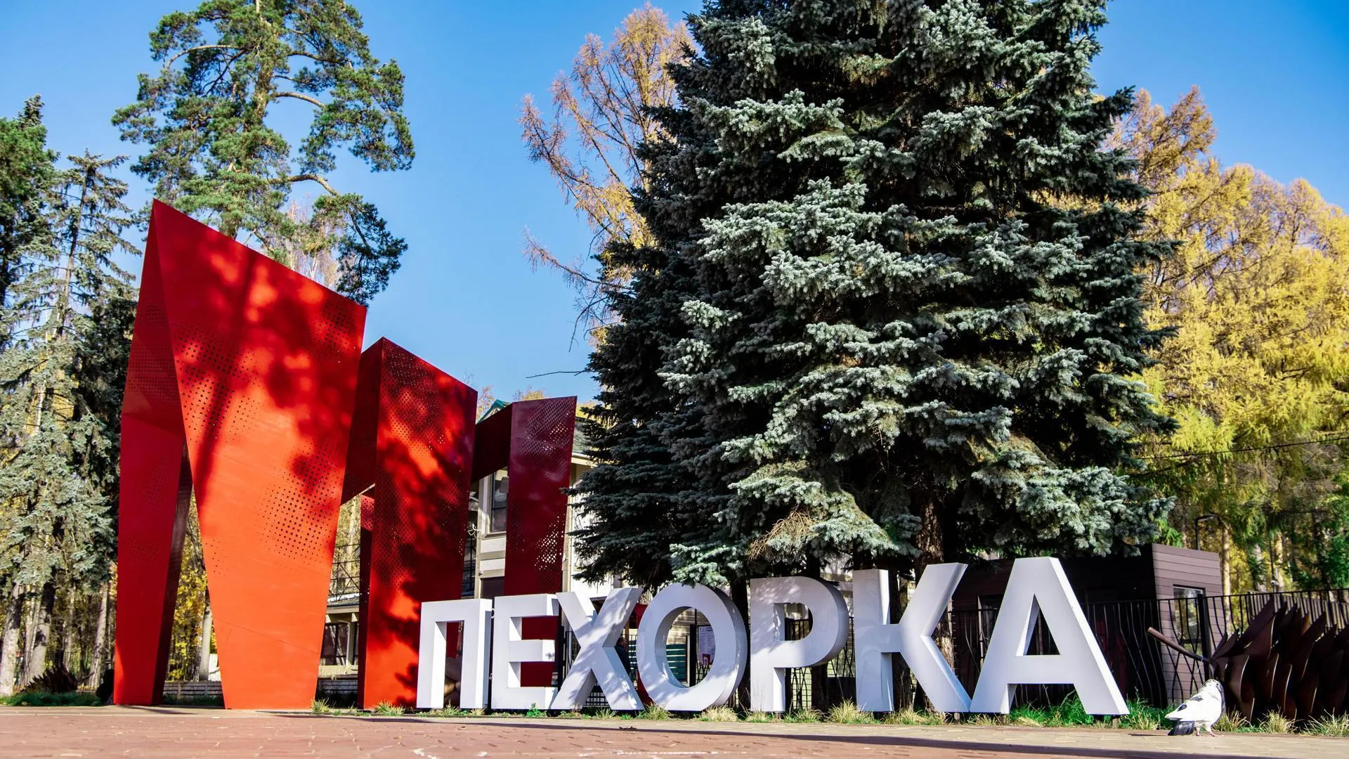 Фото: Министерство благоустройства МО