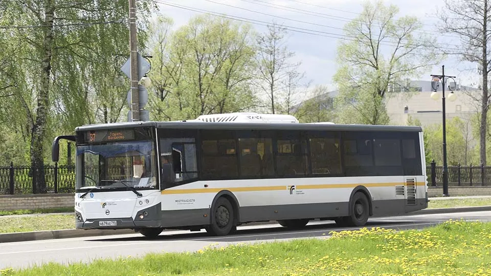 Фото: Оксана Лапшина