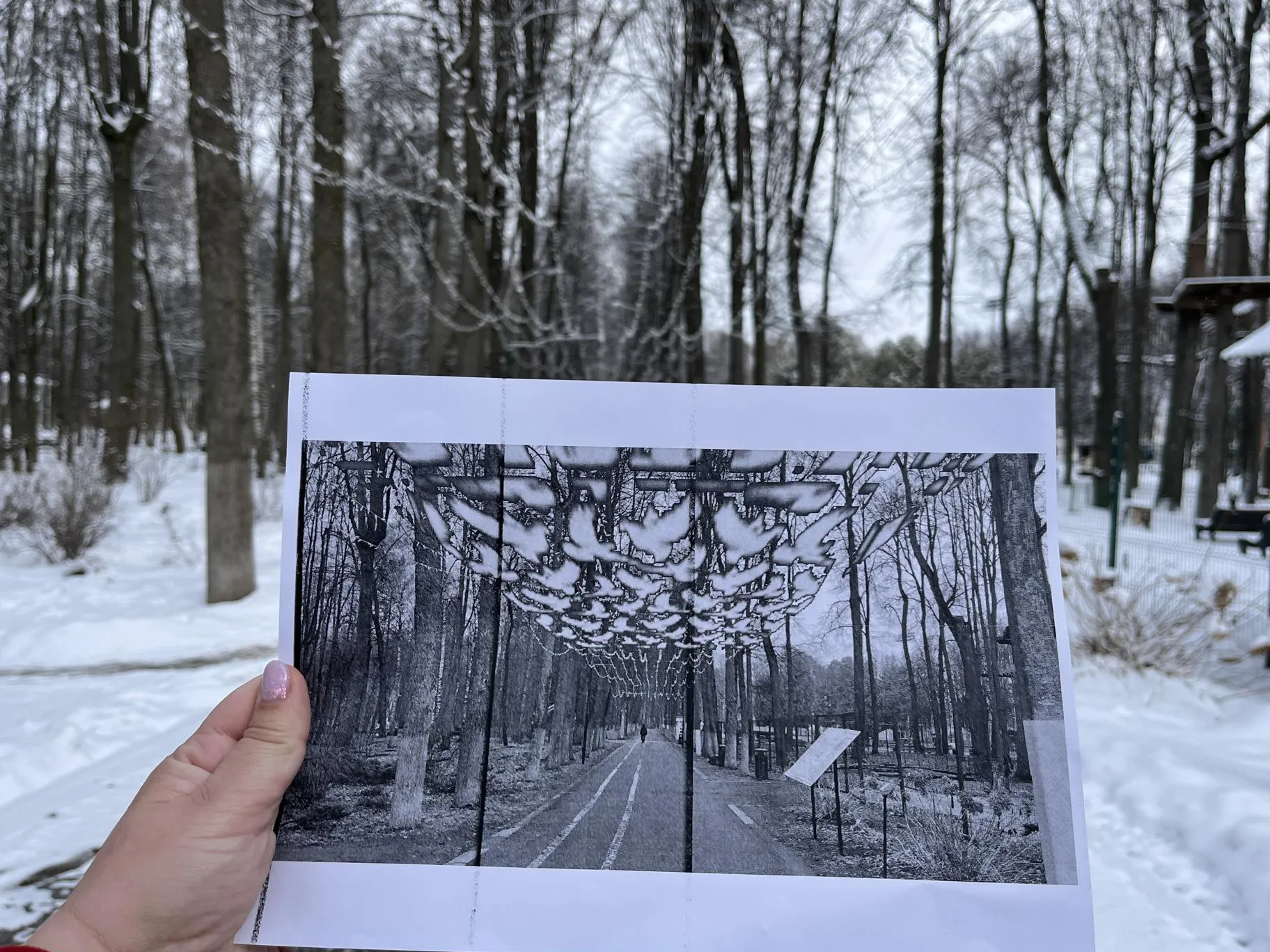 Фото: Анна Тюрюмина&nbsp; &nbsp; &nbsp; &nbsp;