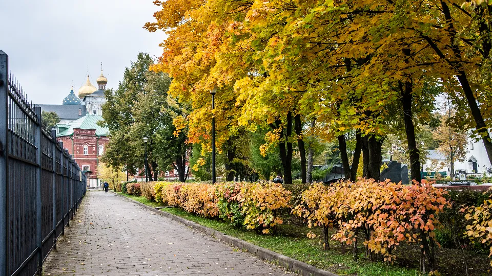 Фото: медиасток.рф