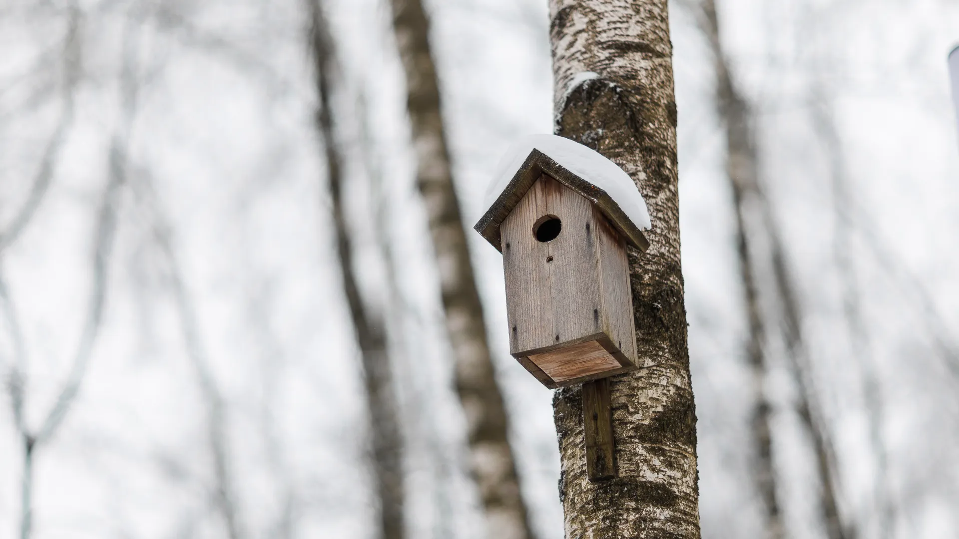 медиасток.рф