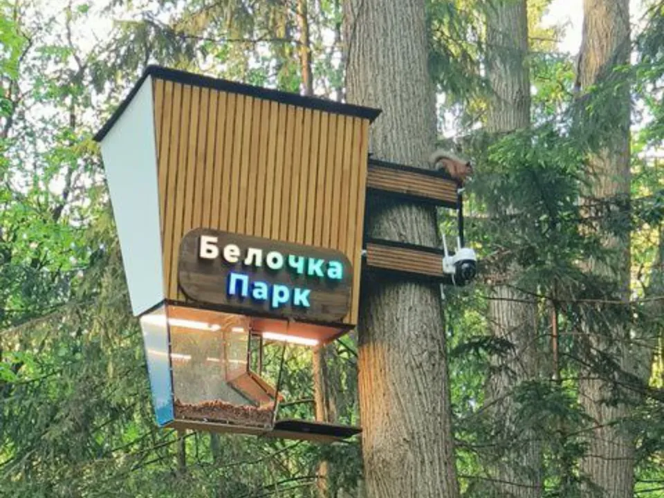 Фото: Александр Гуляев