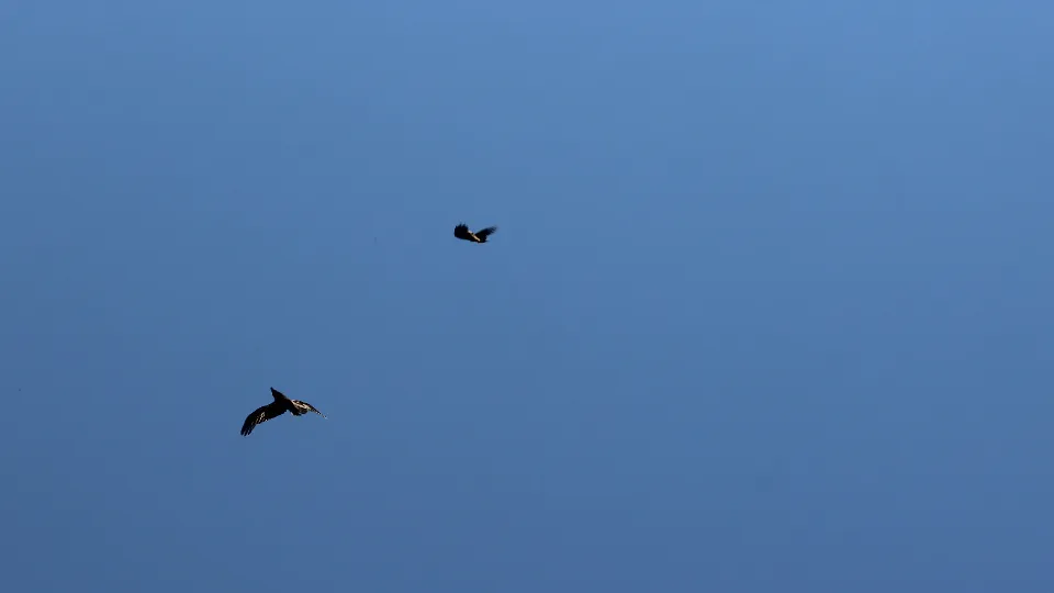 Фото: МедиаБанк Подмосковья/Екатерина Дятловская