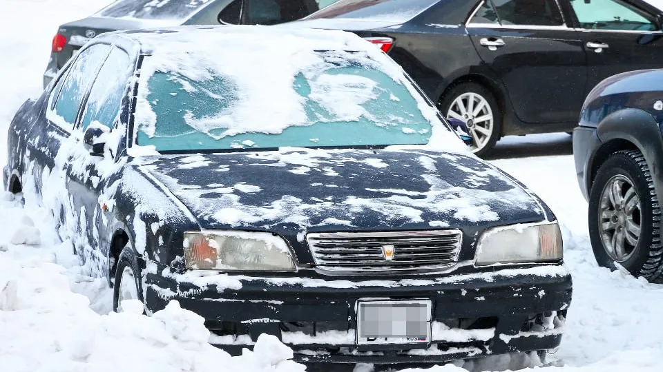 Фото: istockphoto.com