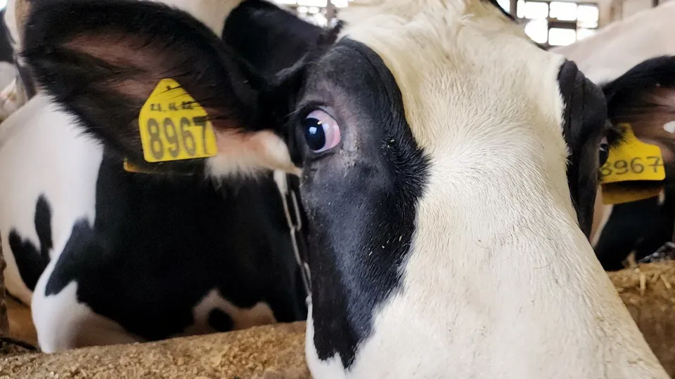 Фото: Ксения Пашуто