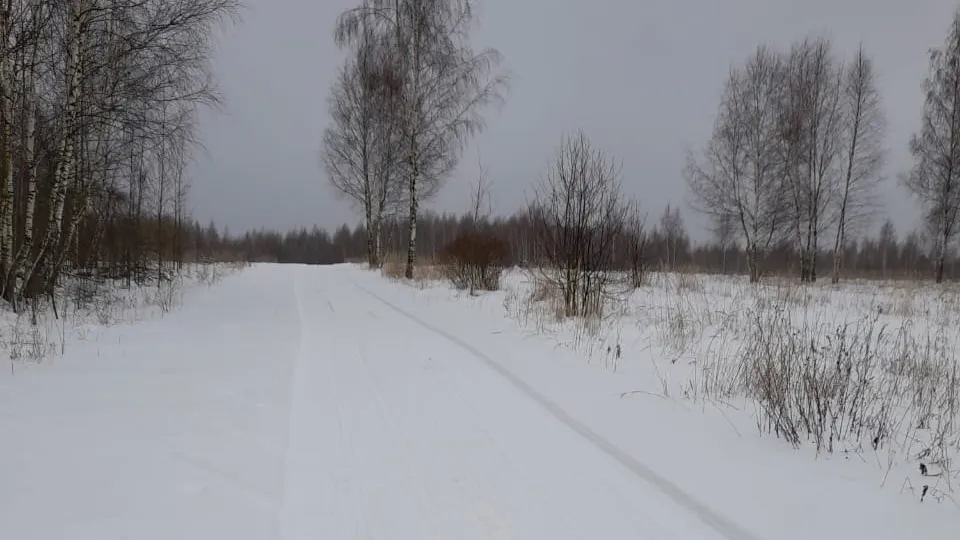 Фото: vk.com/Лыжный клуб «Воскресенск»