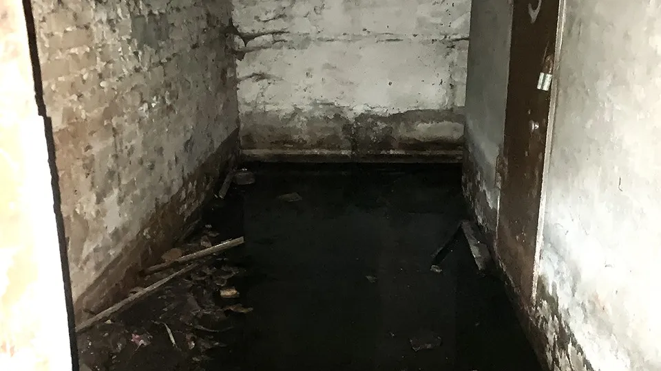 Фото: МедиаБанк Подмосковья/Александр Николаевич Зель