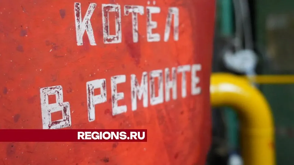 Фото: Дмитрий Зайчиков