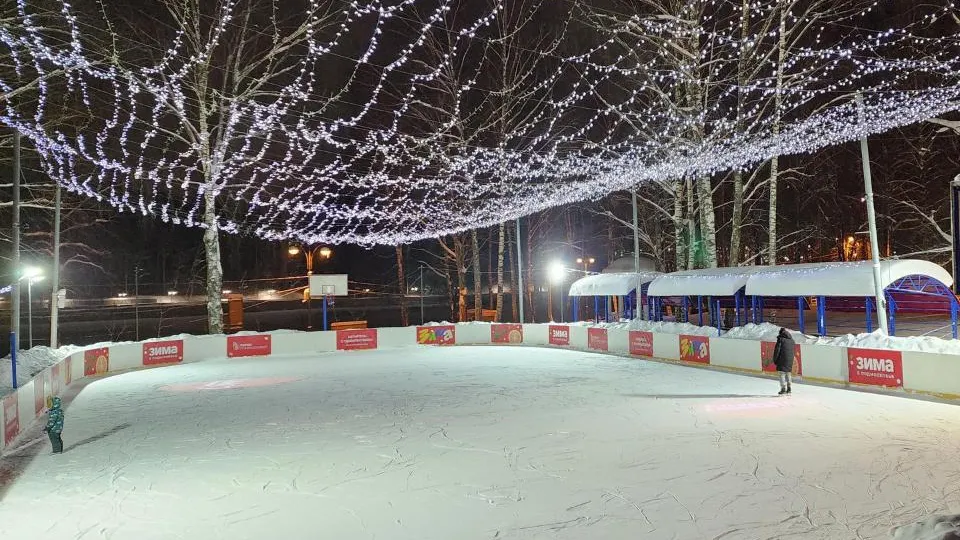 МедиаБанк Подмосковья/Валентина Максимова