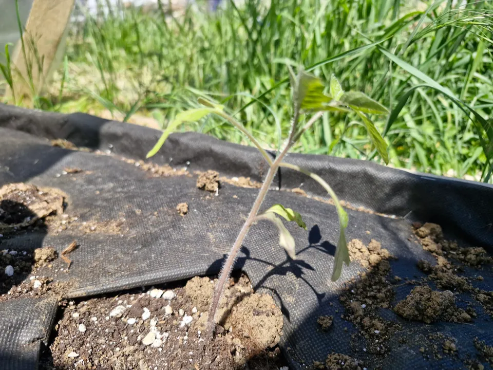 Фото: REGIONS/Наталия Надточая