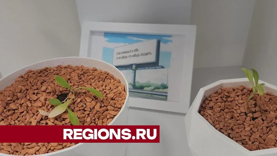 Фото: Михаил Раскин