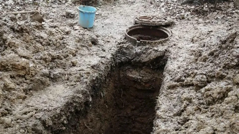 Фото: социальные сети