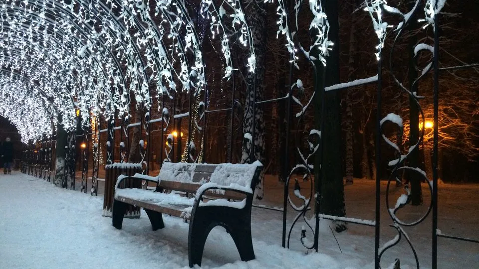 Фото: медиасток.рф