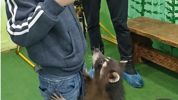 Фото: Семейный центр «Зарайский»