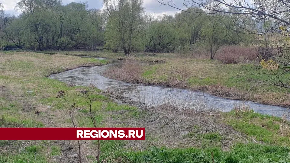 Фото: Валерия Исаева