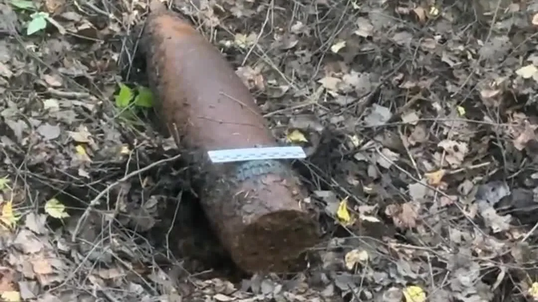 Фото: ГКУ МО «Мособлпожспас»