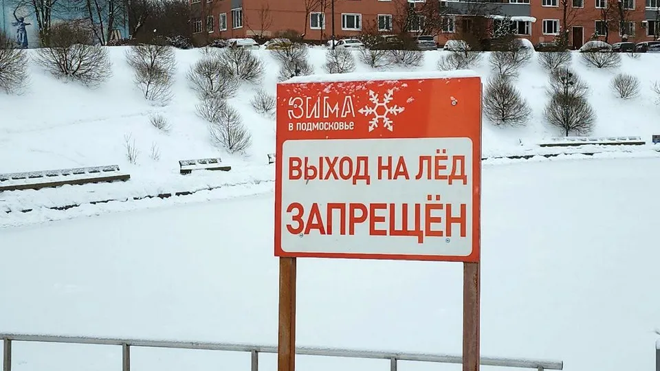 Фото: МедиаБанк Подмосковья/Мария Амелина