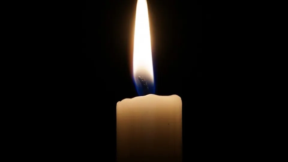 Фото: pxhere.com