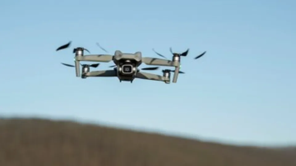 Фото: freepik.com