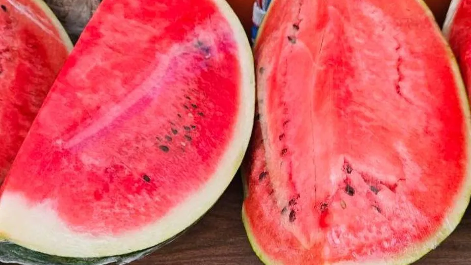 Фото: Министерство по содержанию территорий и государственному жилищному надзору Московской области