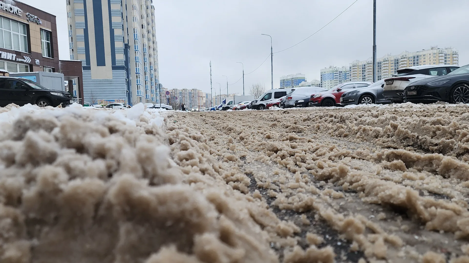 фото - Н. Надточая