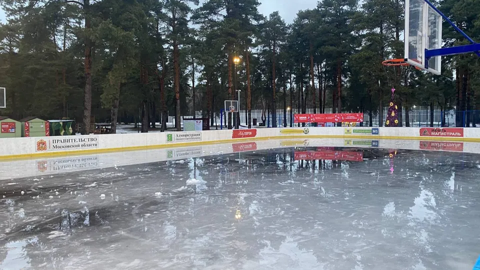 Фото: пресс-служба администрации г.о. Котельники