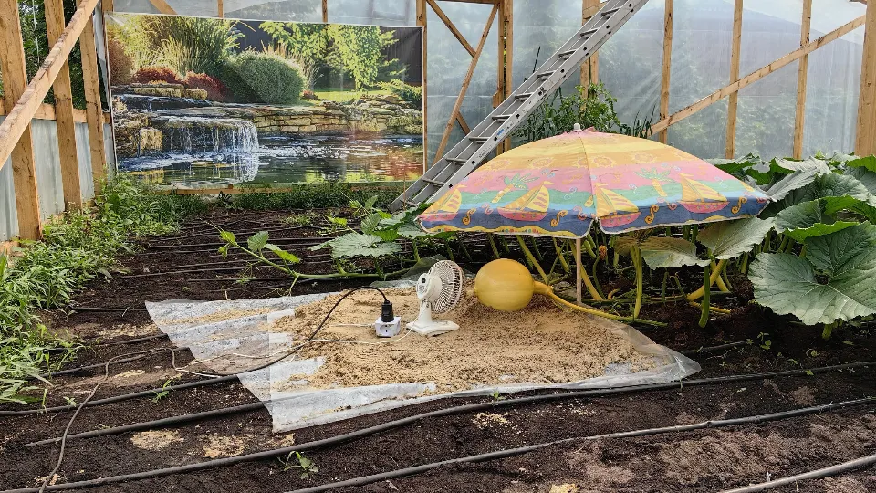 Фото: личный архив Александра Чусова