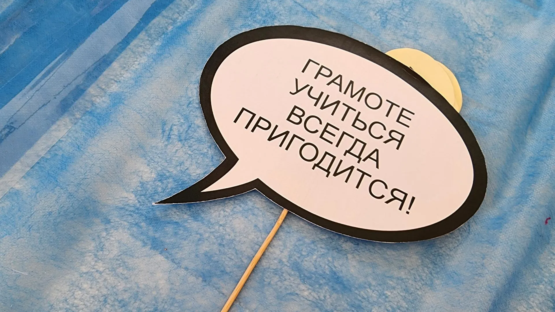 Фото Марии Амелиной