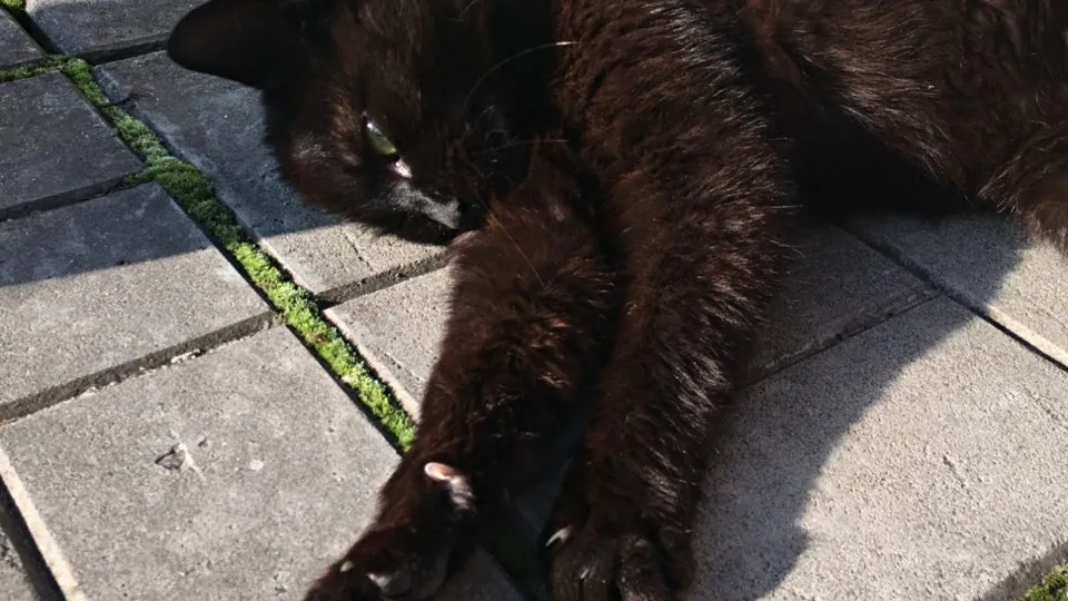 Фото: REGIONS/Максим Зубарев