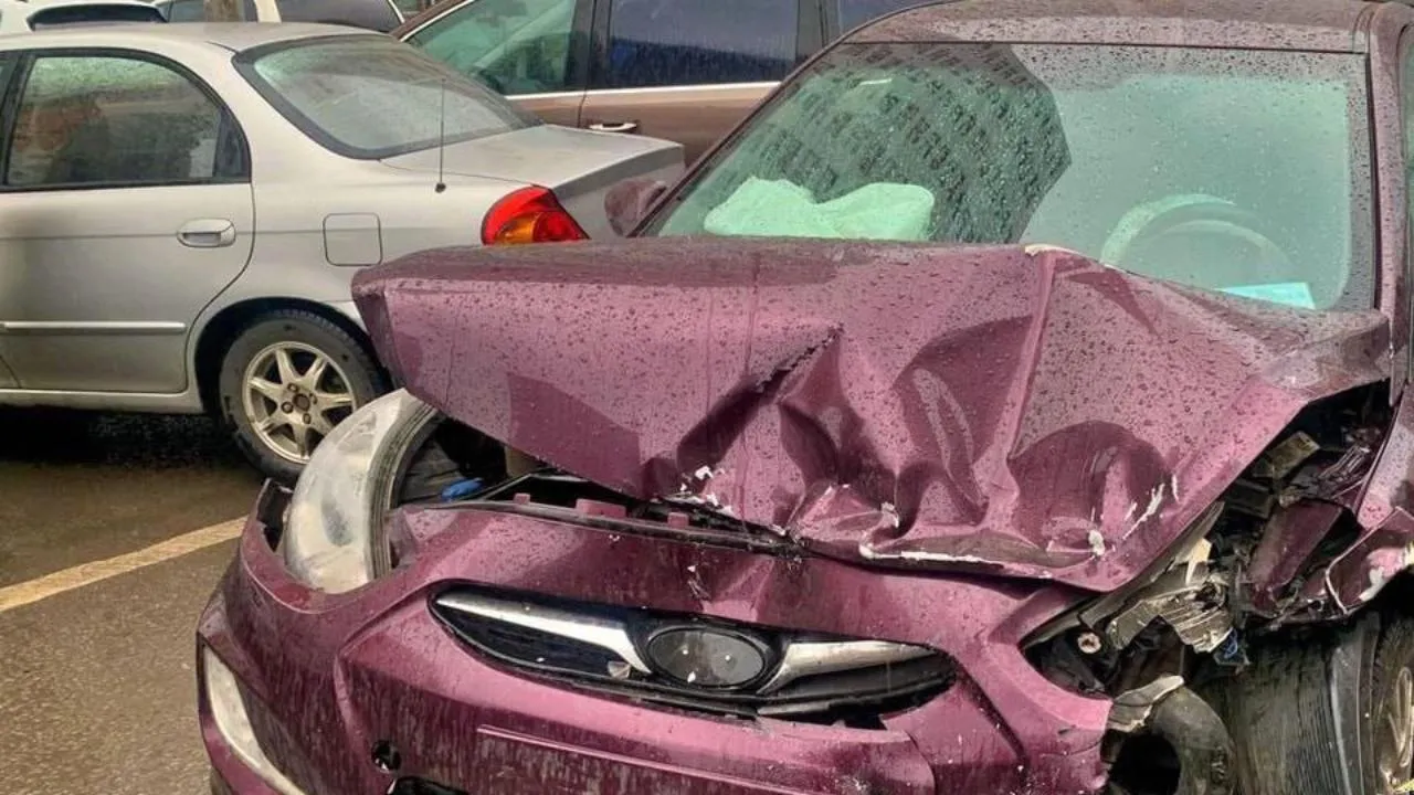 пресс-служба ГУ МВД России по Московской области