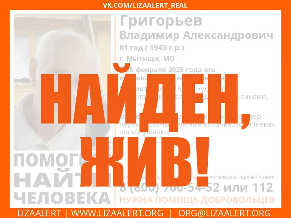 &nbsp; Фото: Добровольческий поисково-спасательный отряд «Лиза Алерт»