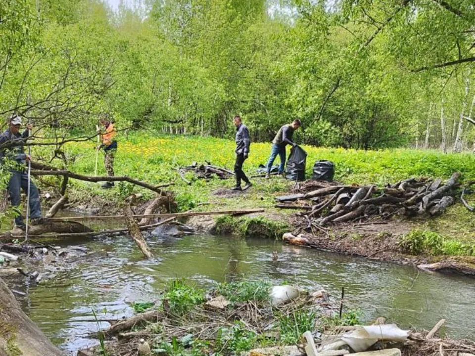 Фото: пресс-служба администрации г.о. Красногорск