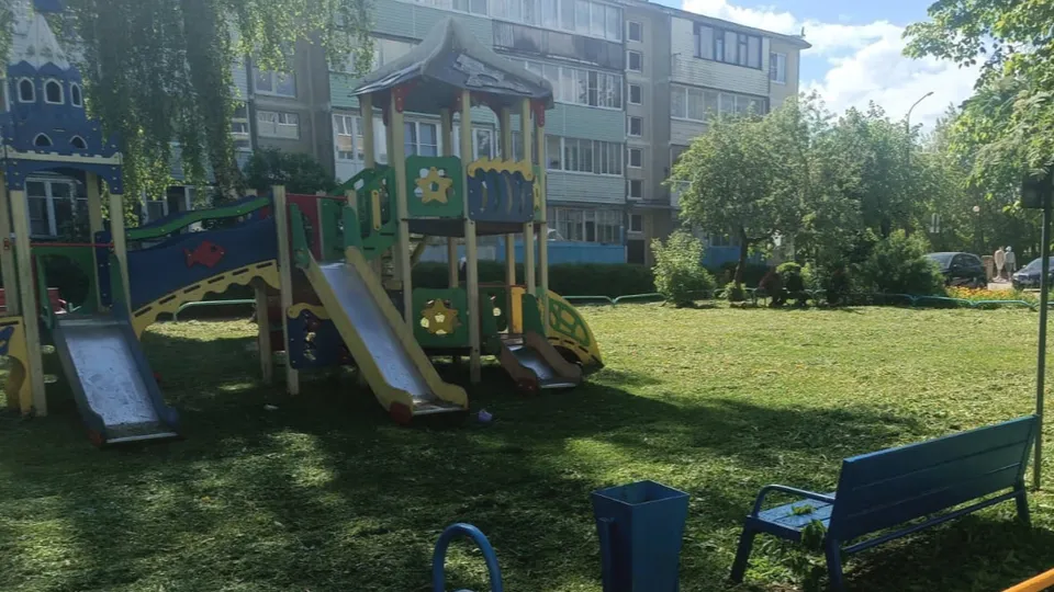 Фото: пресс-служба администрации м.о. Лотошино