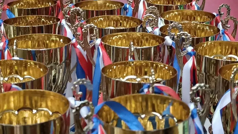 Фото: МедиаБанк Подмосковья/Екатерина Дятловская