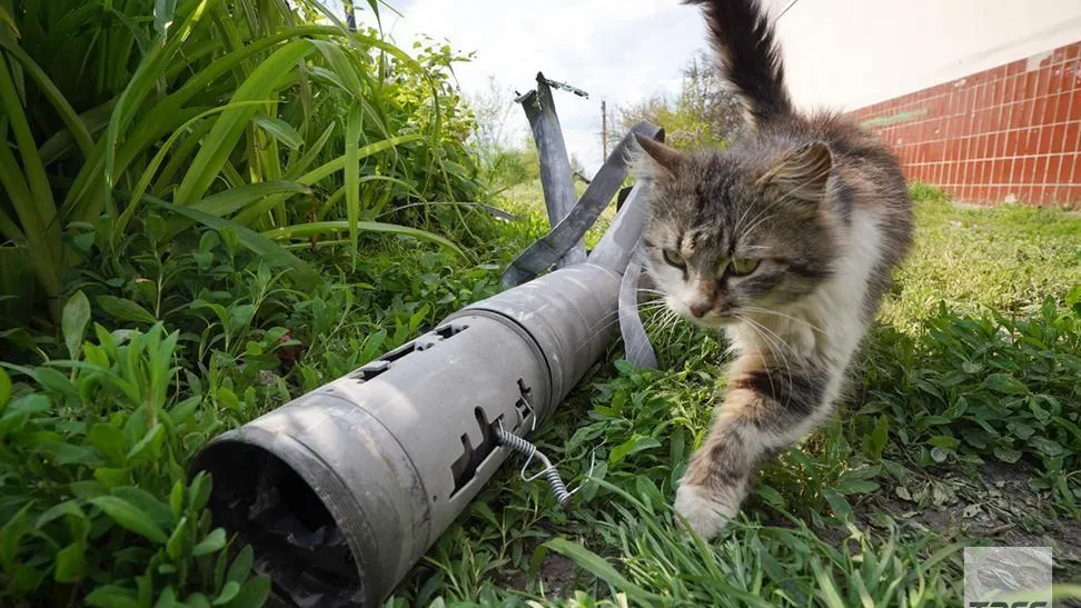Фото: Николай Тришин/ТАСС