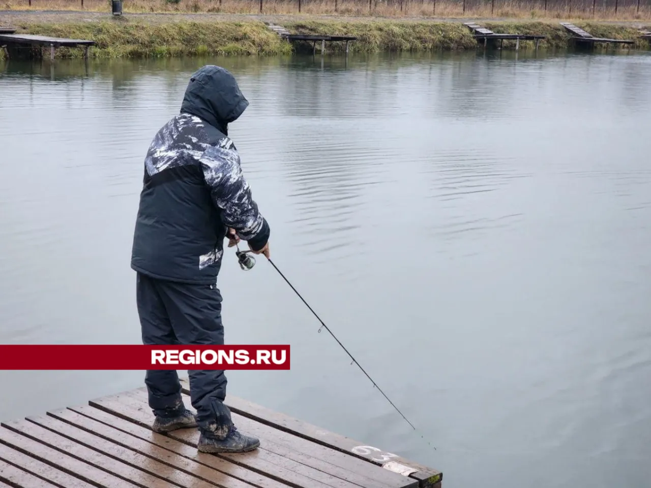 REGIONS/Яна Шаливская