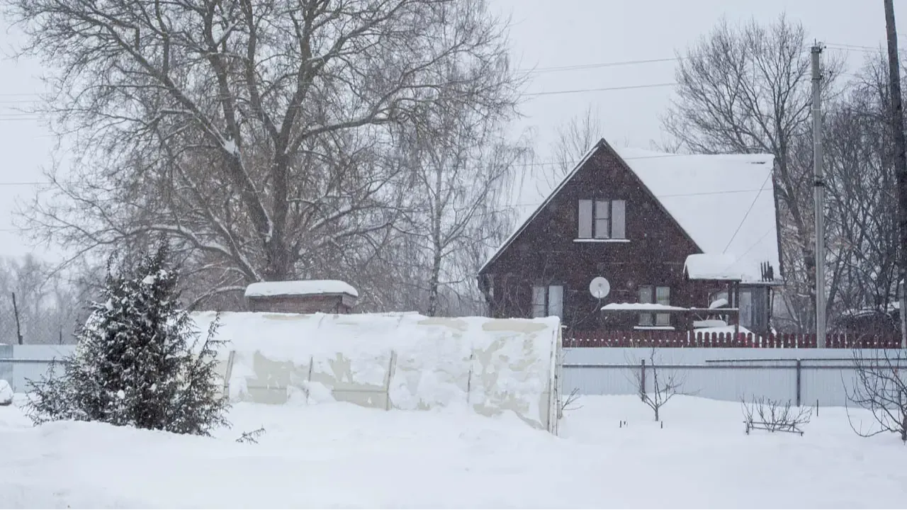 REGIONS/Дарина Левкина