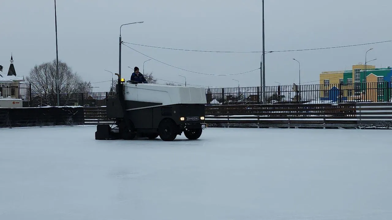 Мария Амелина