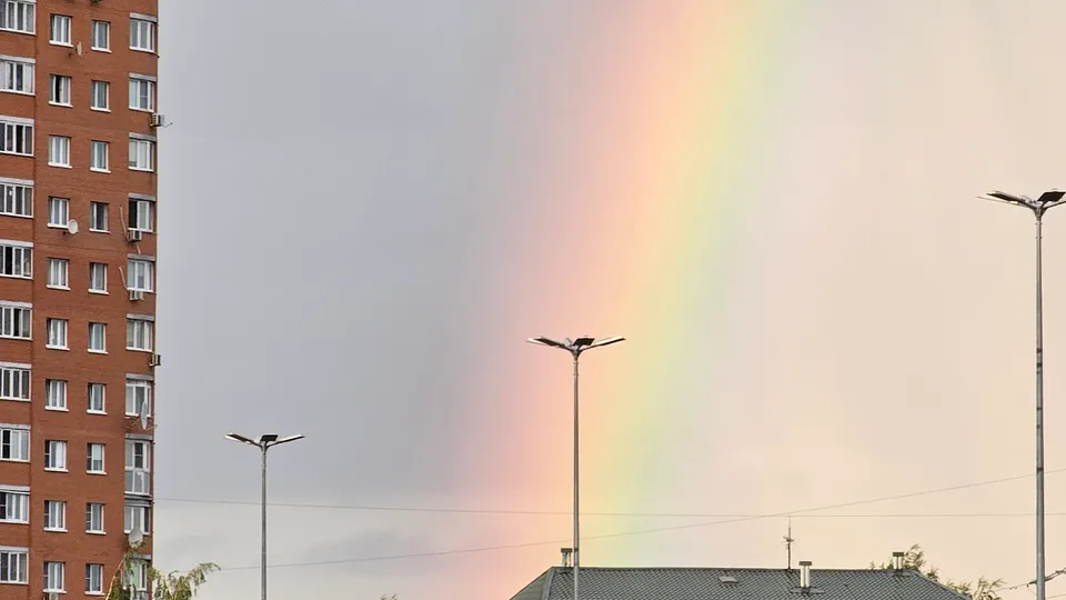 Фото: МедиаБанк Подмосковья / Ольга Фельдфебелева