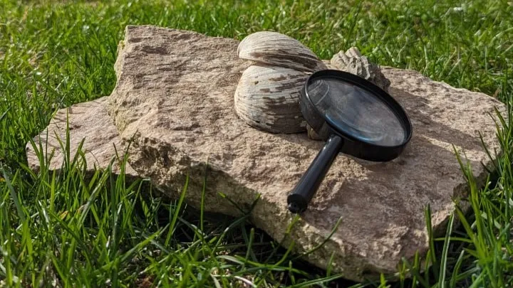 Фото: https://t.me/zarkreml