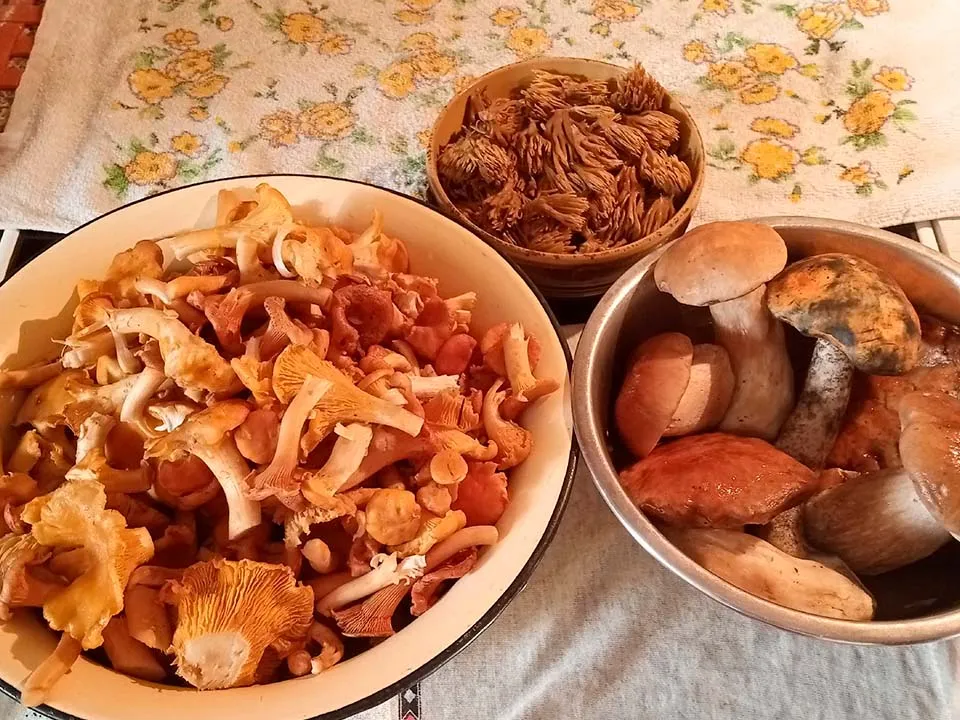 Фото: Олег Дюгаев&nbsp;