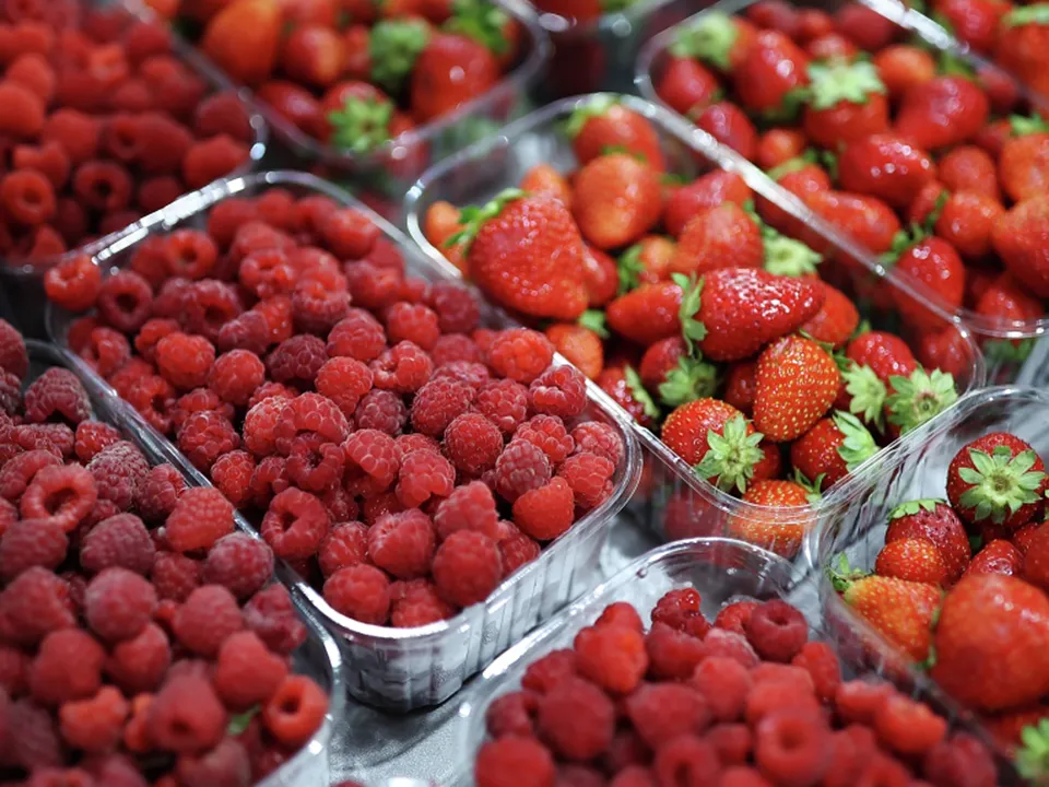 Фото: РИА Новости/Виталий Тимкив